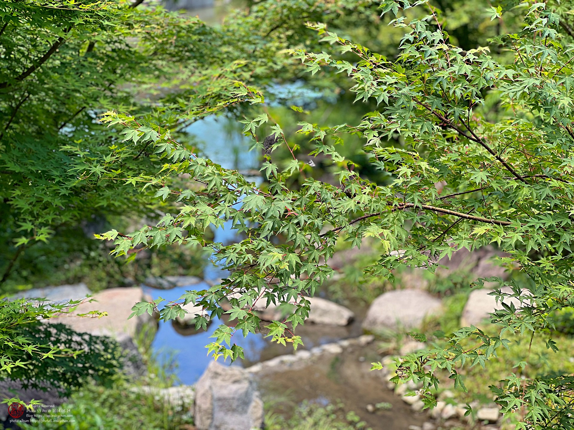 IMG_2623_縮.jpeg